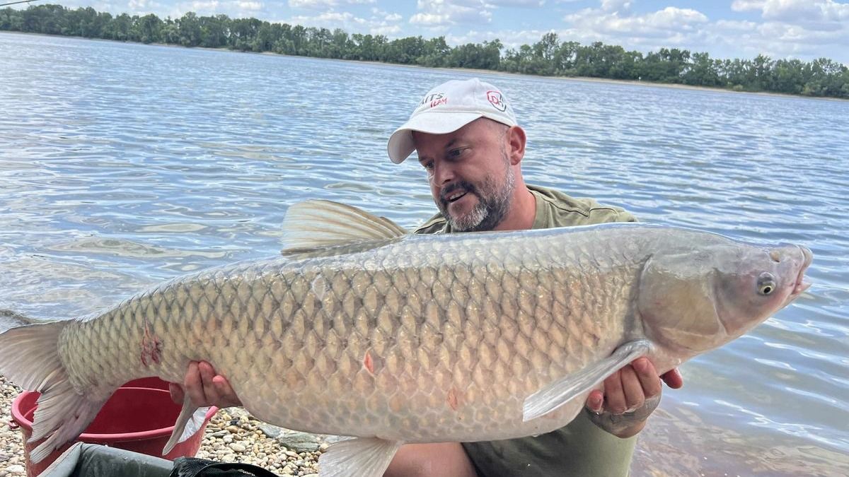 Óriási halat fogott a Dunában egy horgász