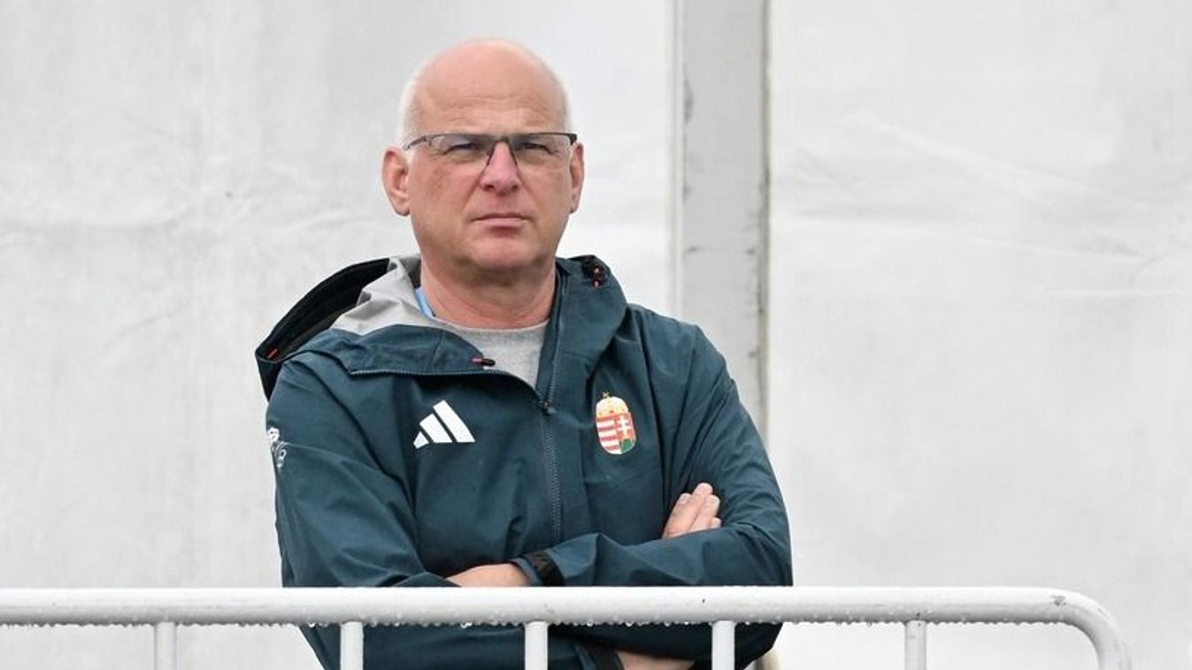 Schmidt Gábor