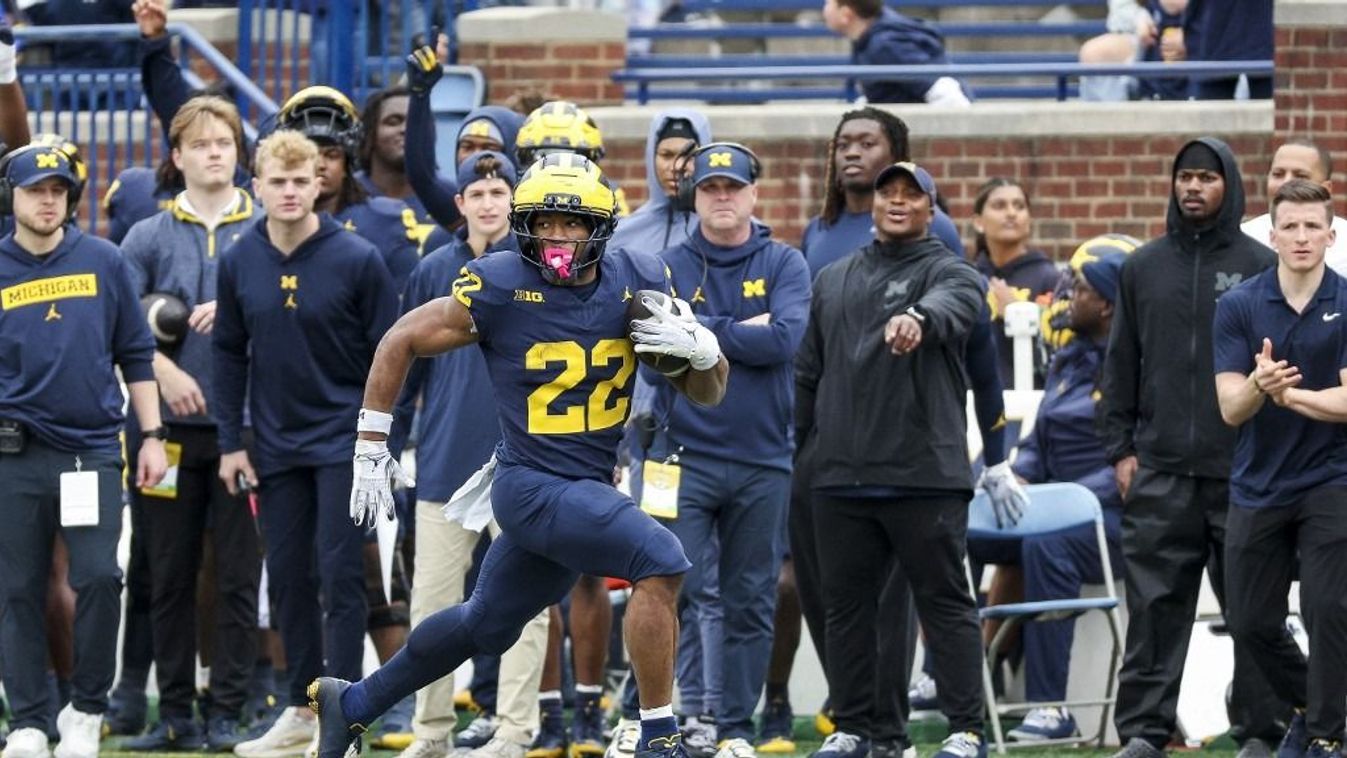 Michigan Wolverines