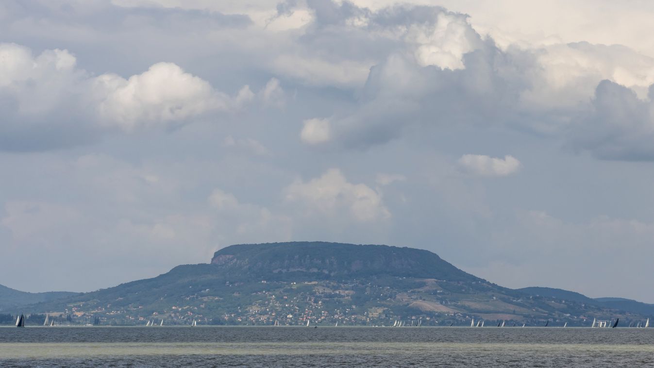 Vörös cápák tűntek fel a Balatonban Kép