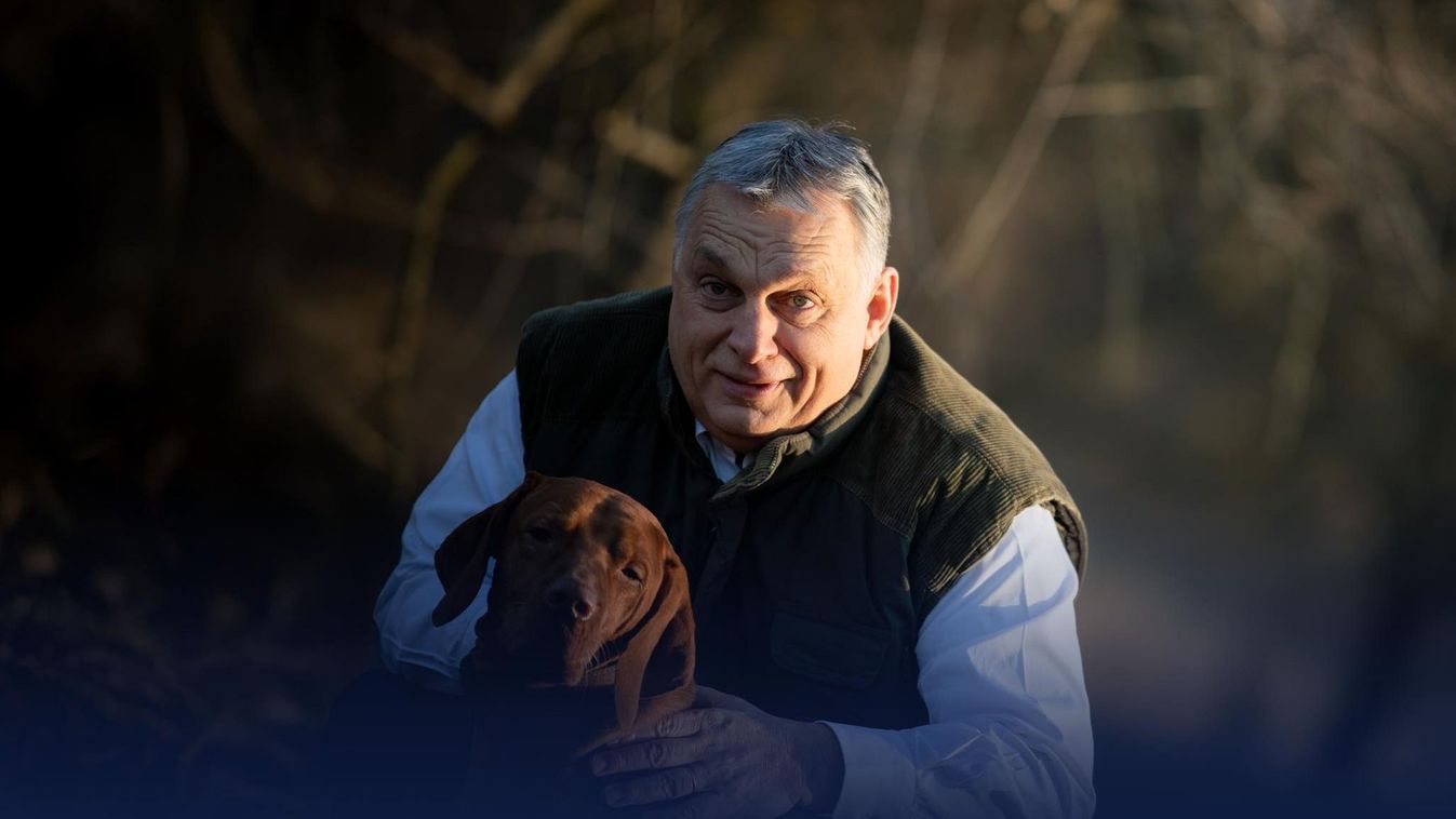 Orbán Viktor miniszterelnök