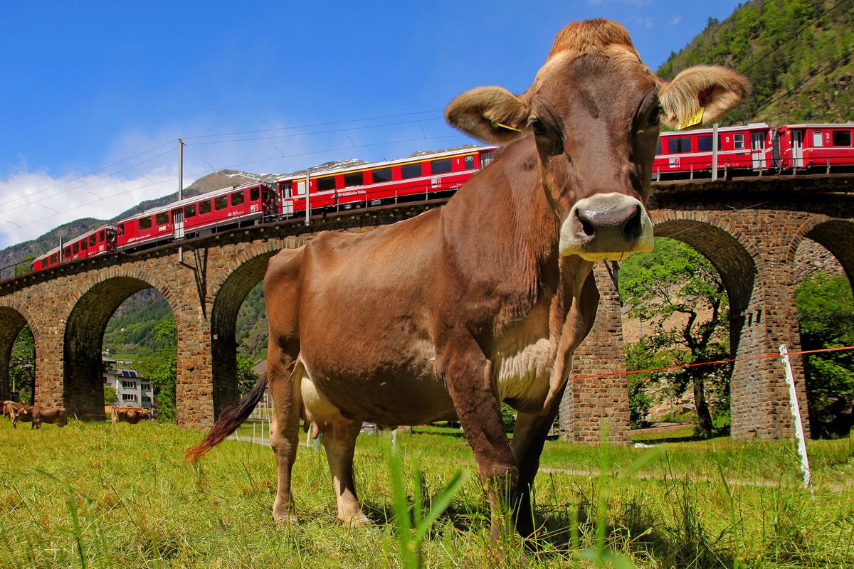 The Bernina Express, Viaduct of Brusio, UNESCO World Heritage Site, Lombardy, Italy, Europe (Photo by ProCip / Robert Harding Heritage / robertharding via AFP)