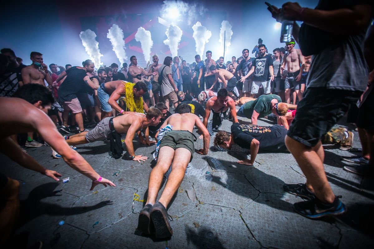 Sziget