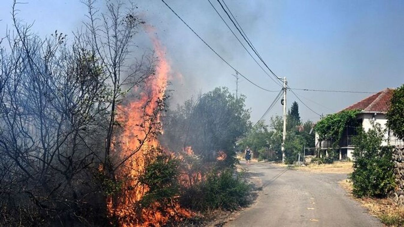 Outside Montenegro’s capital, firefighters were able to save dozens of homes (Photo: AFP)