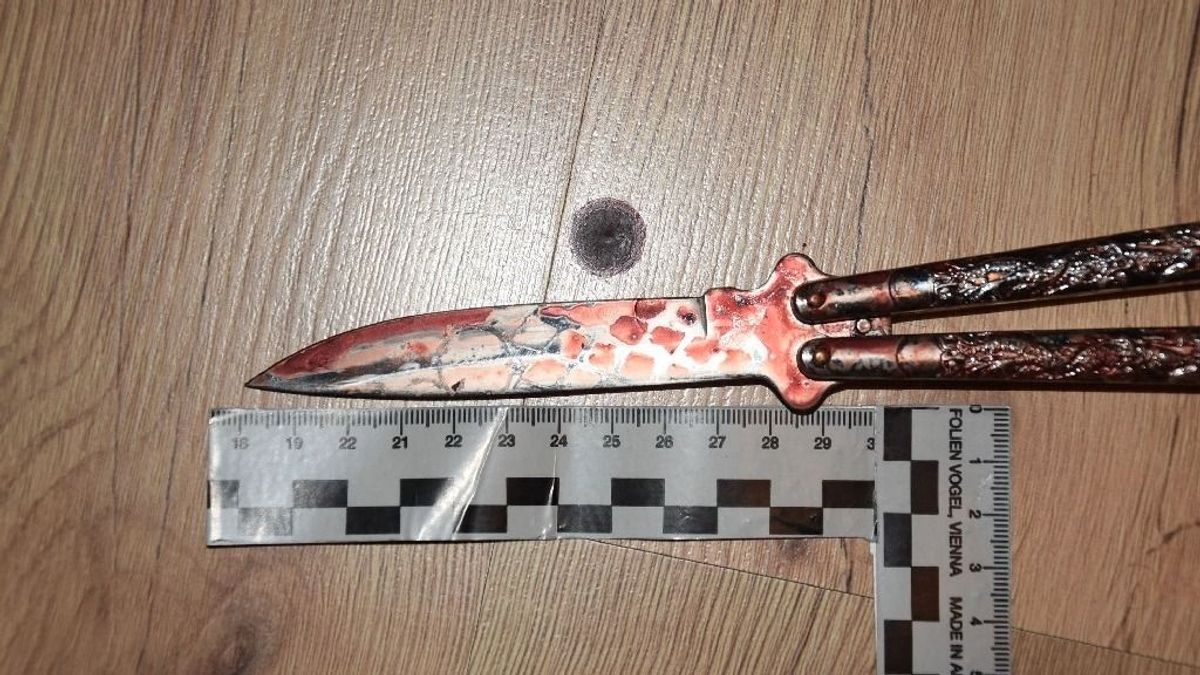 Egy 13 éves fiú nyakon szúrta az anyját és a nagyanyját – elfogták