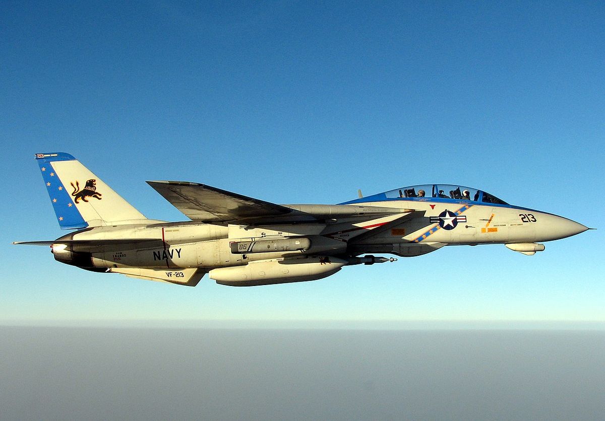 Az F-14 a nagy sikerű mozifilm, a Top Gun óta ez egyik legnépszerűbb vadászgép
