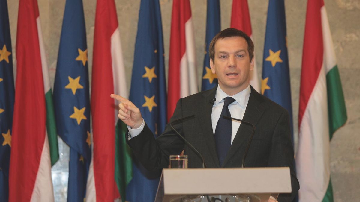 Békák, gombák és disznók