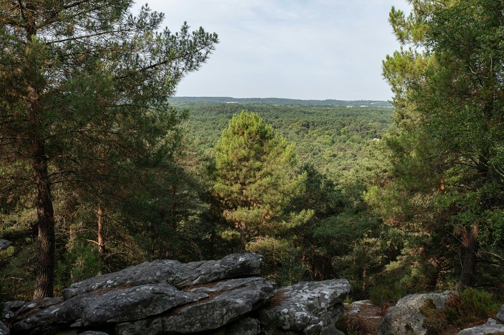 kislány