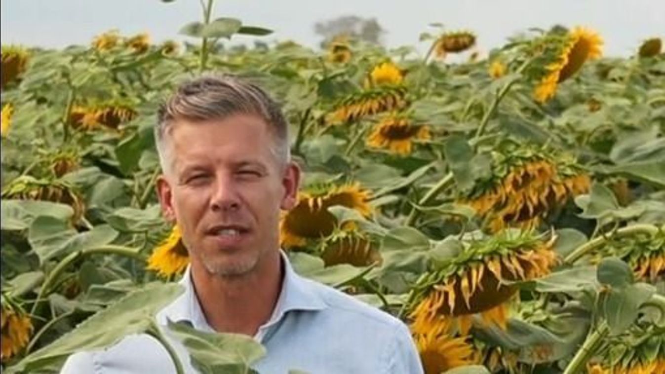 Magyar Péter végre talált napraforgót