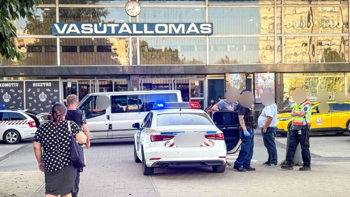 Vérfagyasztó jelenetek a szolnoki vasútállomásnál, így késelte meg barátját egy férfi + galéria, videó