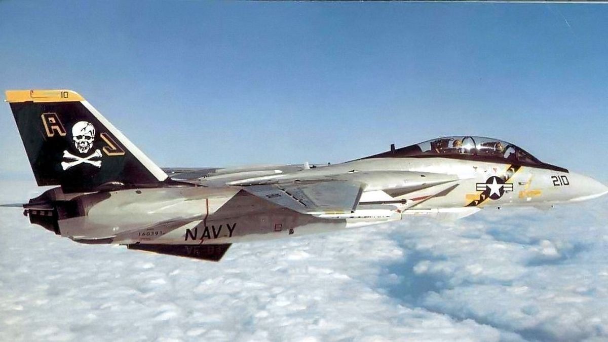 F-14: a termetes kandúr, amelynek halálos a dorombolása
