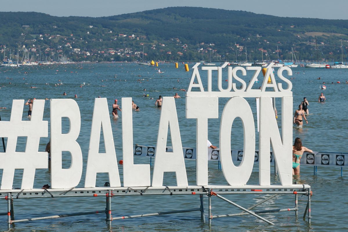 Balatonboglár, 2025. augusztus 9.
A 43. Lidl Balaton-átúszás résztvevői érkeznek a balatonboglári célba 2025. augusztus 9-én.
MTI/Katona Tibor