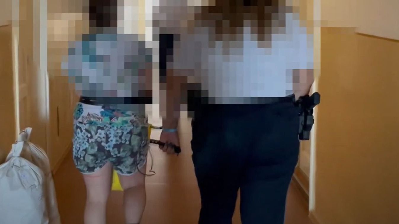 Nagydorog csecsemőgyilkosság
Police