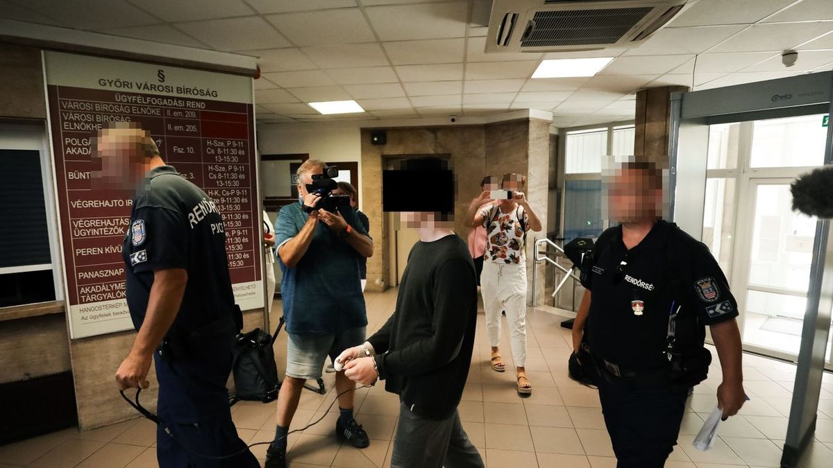 A gönyűi késelés elkövetője, Sz. Kristóf a Győri Járásbíróságon. A fiú letartóztatását egy javítóintézetben hajtják végre.