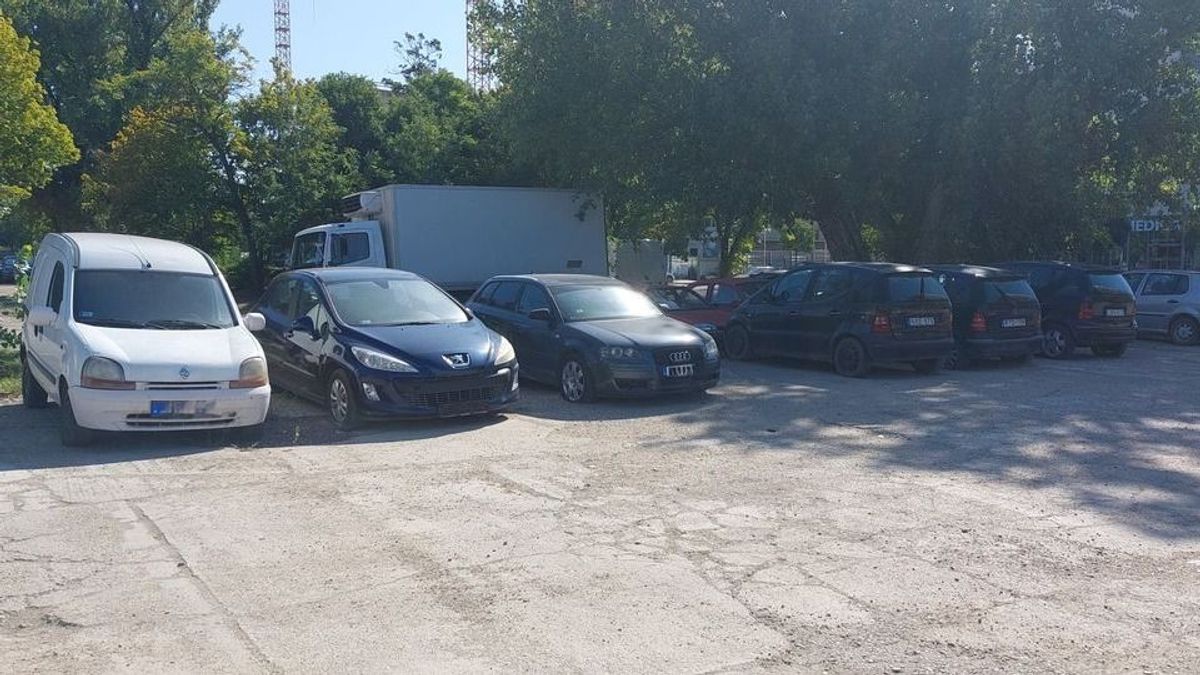 Különleges gyűjteményre bukkantak a megyei jogú város bevásárlóközpontjának parkolójában