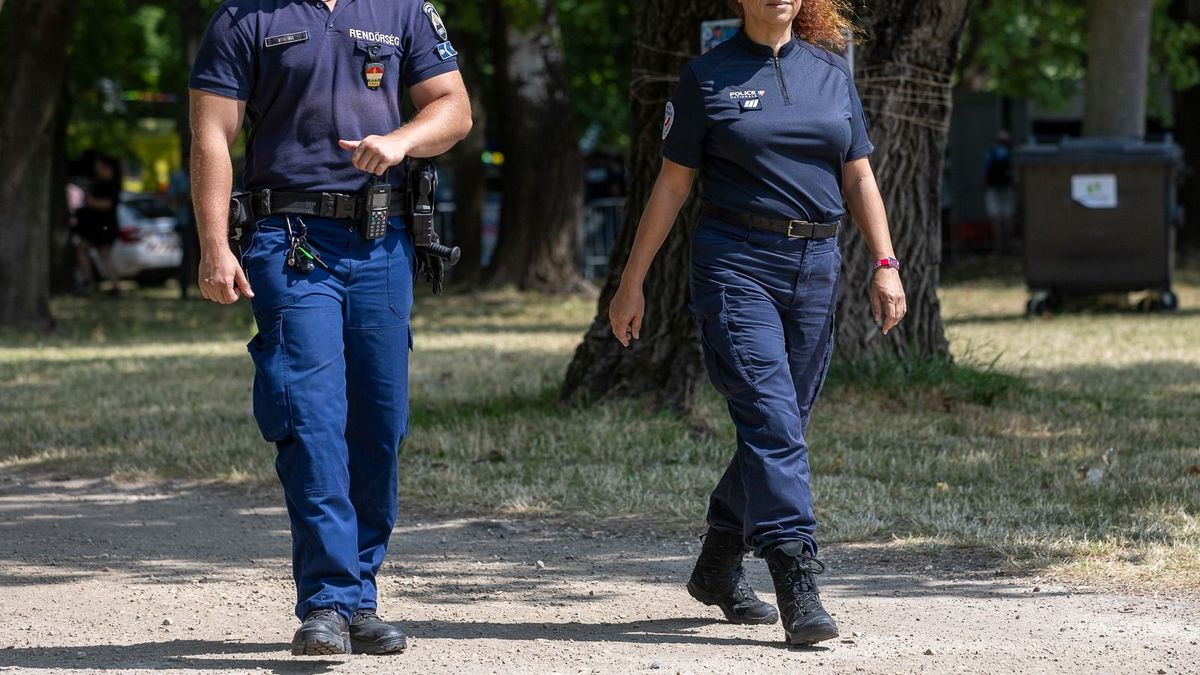 Illegális lakásfoglalóhoz vonultak a kőbányai rendőrök, de valami mást is találtak + fotók