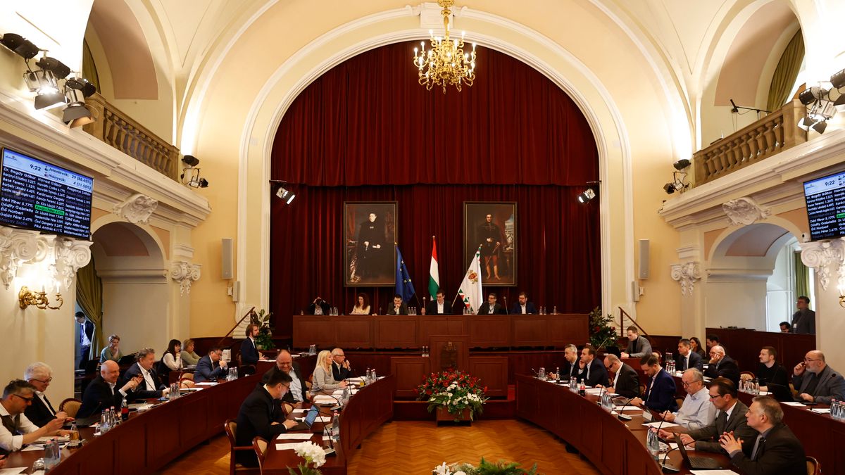 Felfüggesztenék a fővárosi közösségi költségvetést