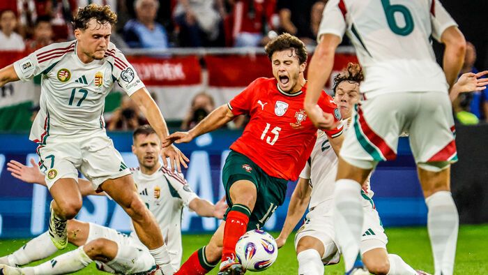 Magyarország - Portugália vb-selejtező 