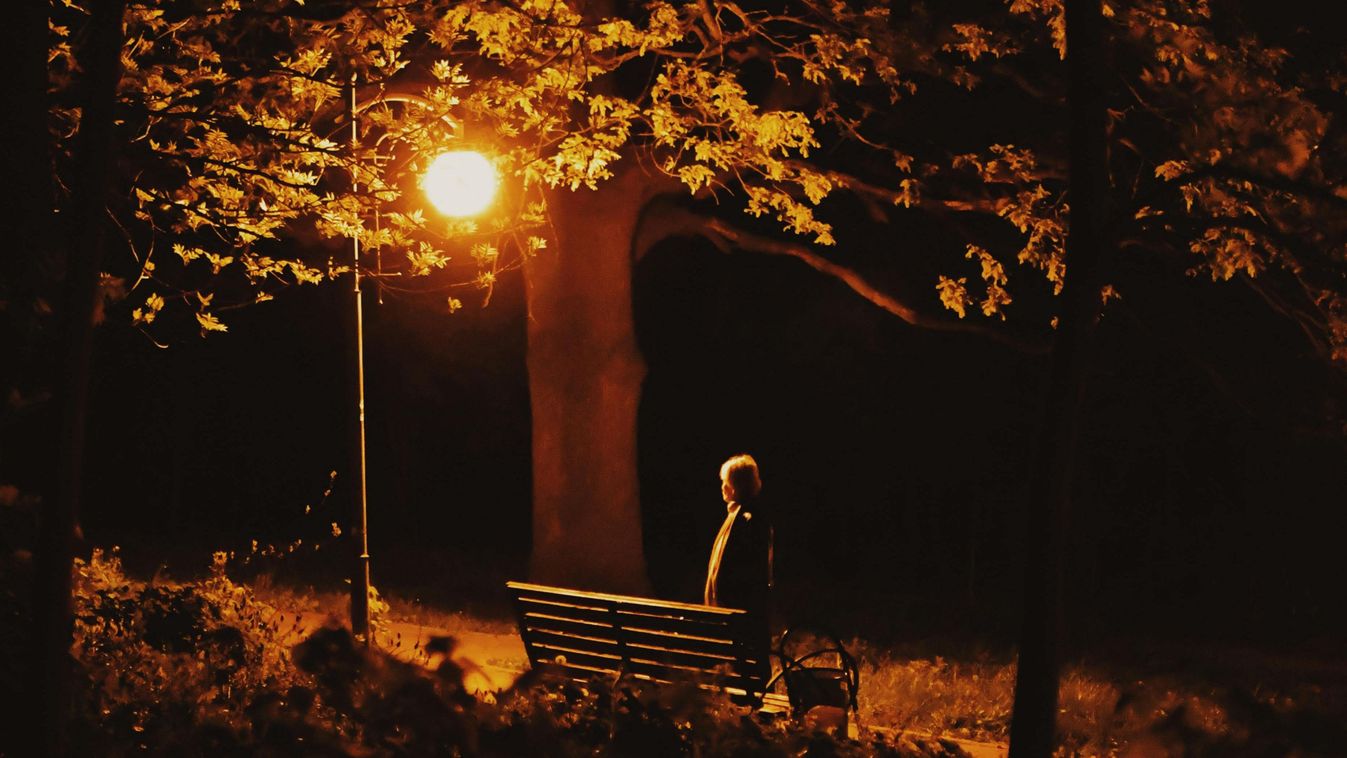 park,sötét,dark,mysterious