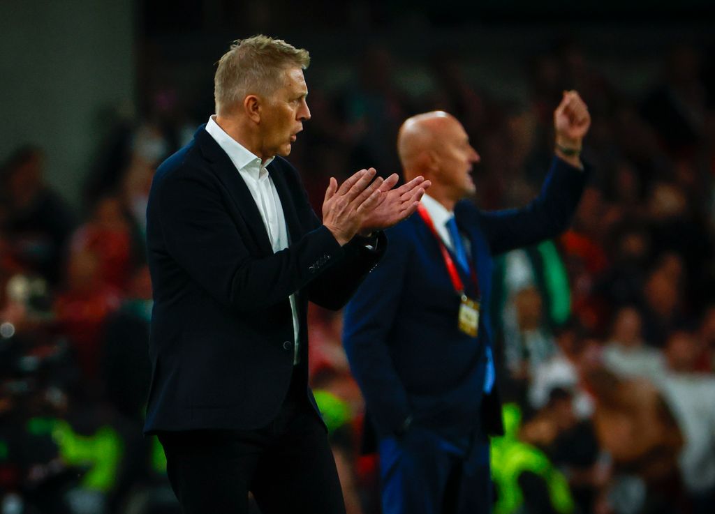 Írország-Magyarország VB selejtező