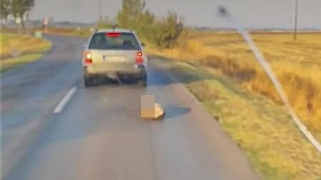 Csodával határos módon túlélte az autó után kötött kutya az állatkínzást + videó