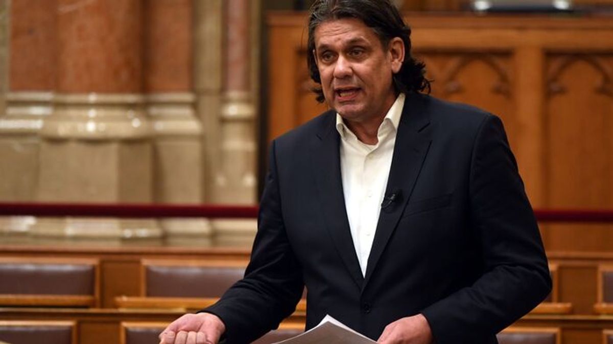 Tamas Deutsch: Violence Has No Place in Politics