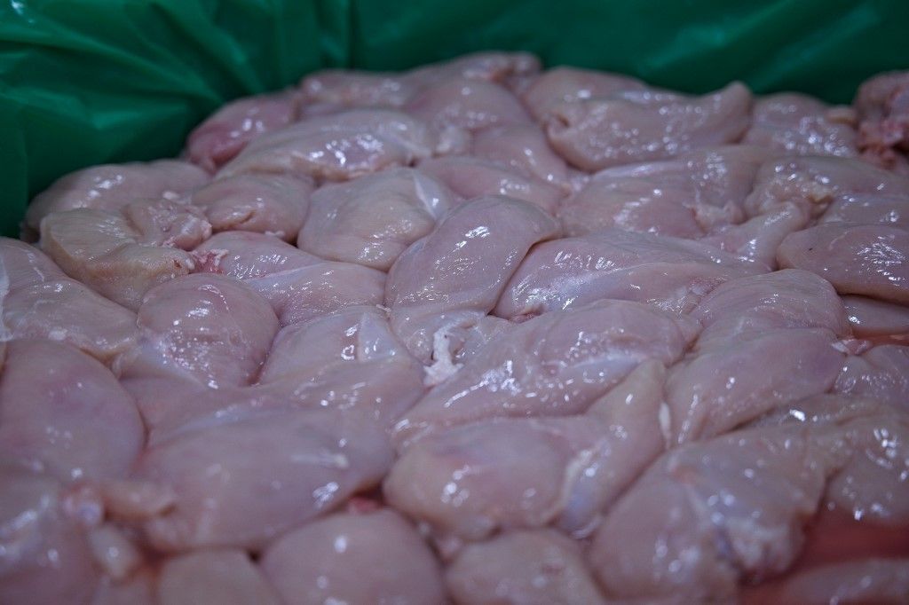 baromfi, This picture taken on October 9, 2023 shows food factory Cargill's conveyor belt pool out chicken meat before being processed inside the factory in Orleans, Central France. Cargill, which employs 250 employees, provides 70% of the needs of the breaded chicken demand such as nuggets to the 1550 Mac Donald's restaurants in France. (Photo by GUILLAUME SOUVANT / AFP)