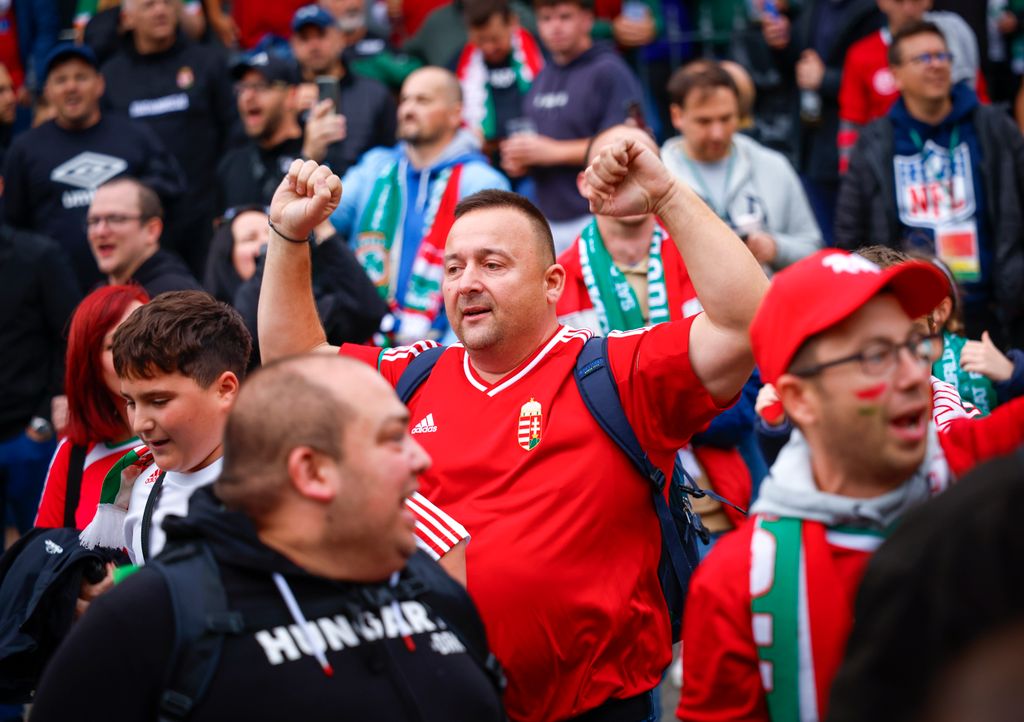 Írország-Magyarország VB selejtező