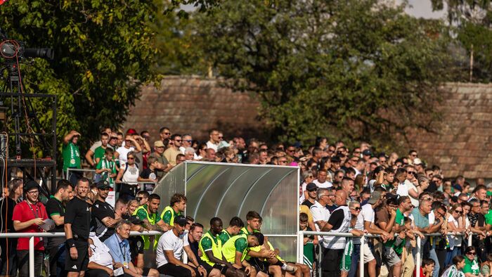 Szarvaskend - FTC MOL Magyar Kupa mérkőzés
Ferencváros Fradi foci