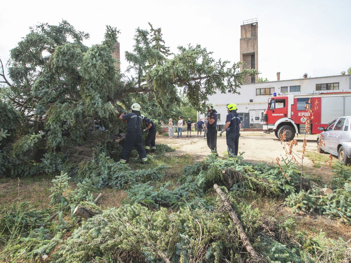 július, 20250707 SzékesfehérvárAz országon átvonuló vihar, az ország több részén okozott károkat. A viharkárokat sorra számolják fel. Székesfehérváron, a katasztrófavédelem segítségével. Fotó: Fehér Gábor FGFejér Megyei Hírlap