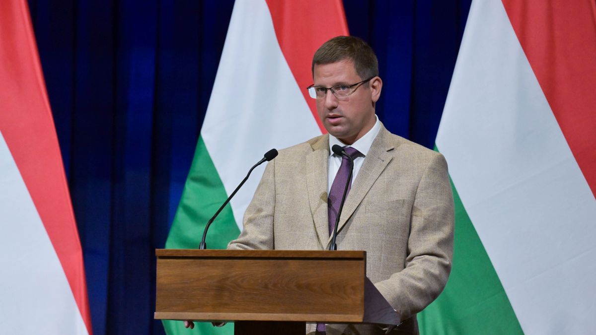 Teljes káosz van a Tisza Pártban, Magyar Péterék a megtévesztésre építenek + videó