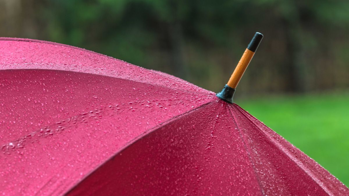 Nagyot változik az idő, most már tényleg megjön az ősz + videó