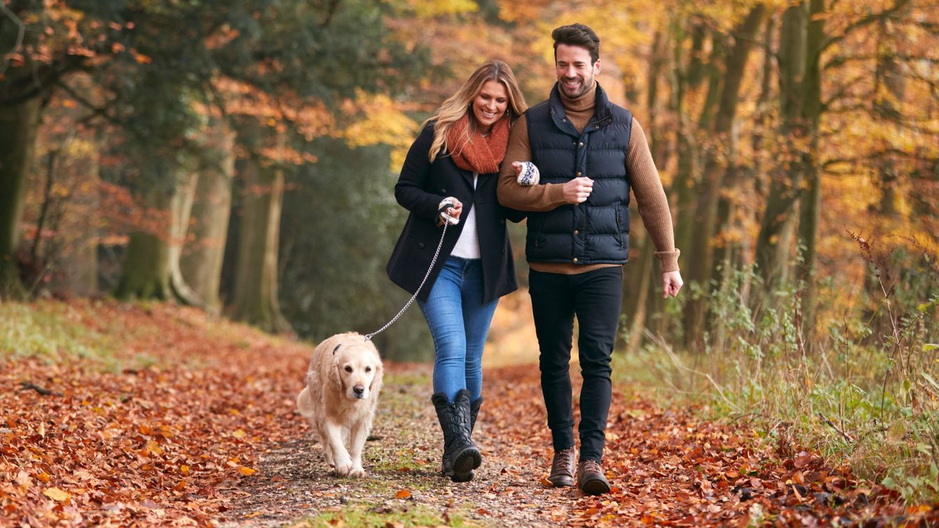 Loving Couple Walking With Pet Golden Retriever Dog Along Autumn Woodland Path Through Trees

1775222024