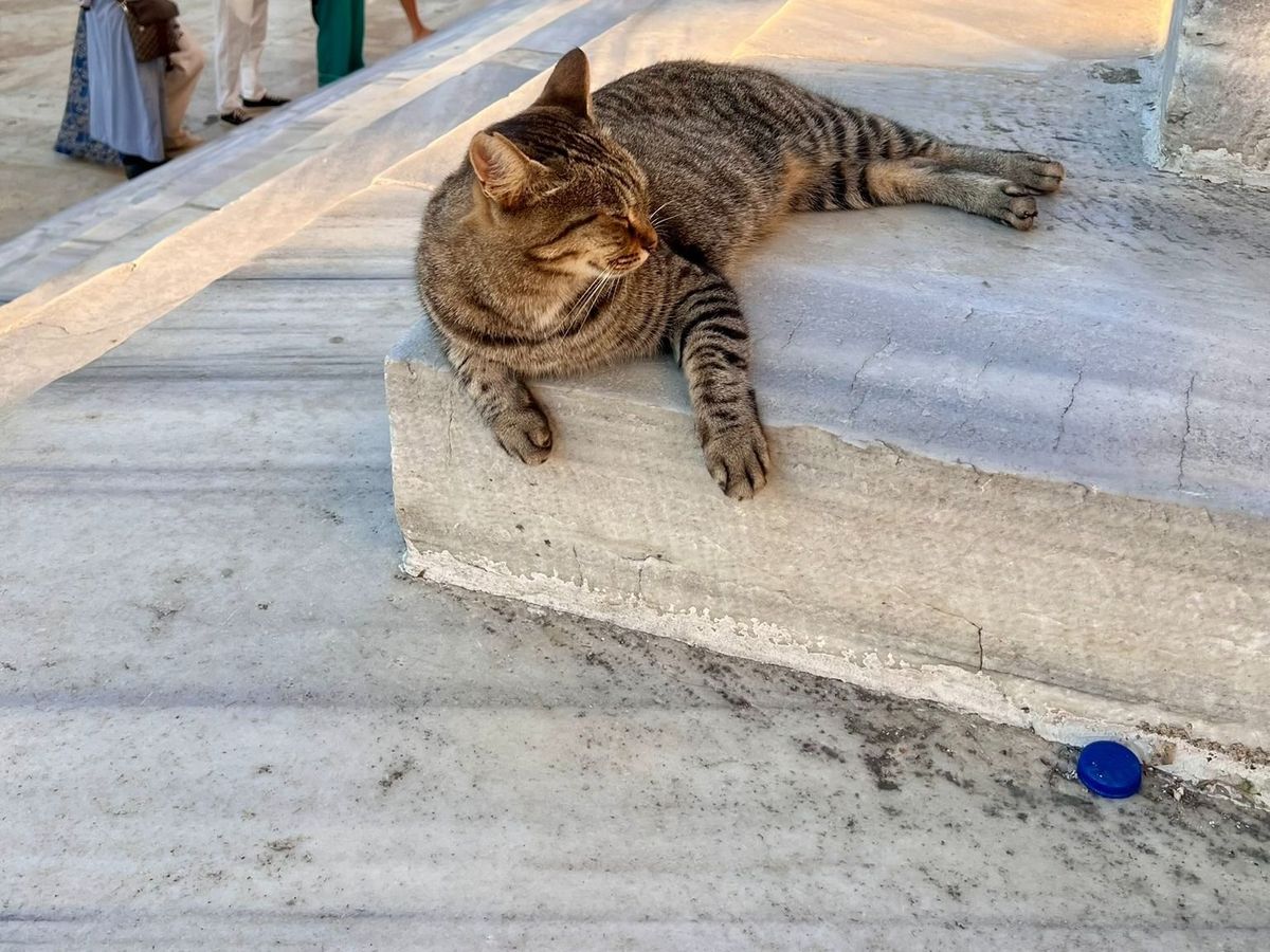 Isztambul