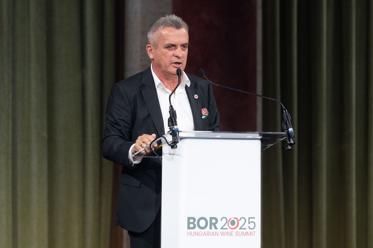 Budapest, 2025. szeptember 10.
Rókusfalvy Pál, a nemzeti bormarketingért felelős kormánybiztos beszédet mond a Magyar Bormarketing Ügynökség Hungarian Wine Summit szakmai találkozóján a Pesti Vigadóban 2025. szeptember 10-én.
MTI/Kocsis Zoltán