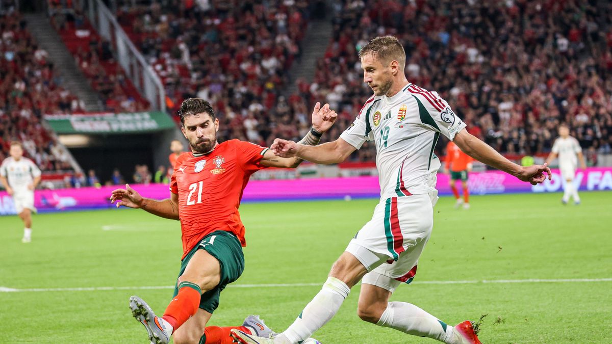 Lecke Sallai Rolandnak és Varga Barnabásnak