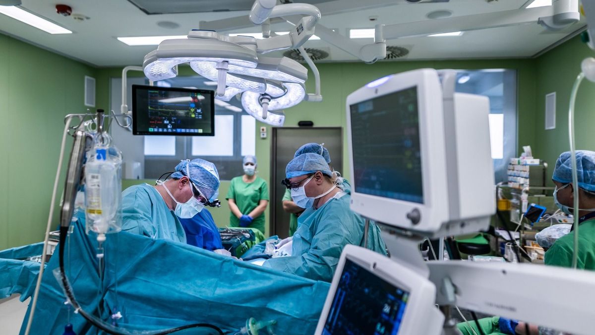 Karriernap és állásbörze az egészségügyért