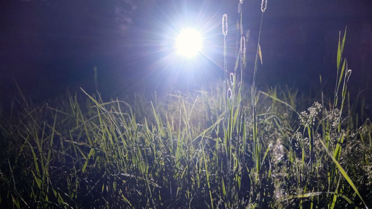 Rejtélyes holttesteket találtak Győrben és környékén