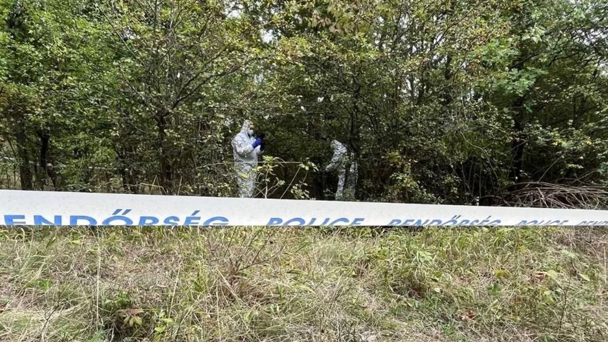 Drámai drónvideót tett közzé a rendőrség: így keresték az utolsó napon Kaszás Nikolettet