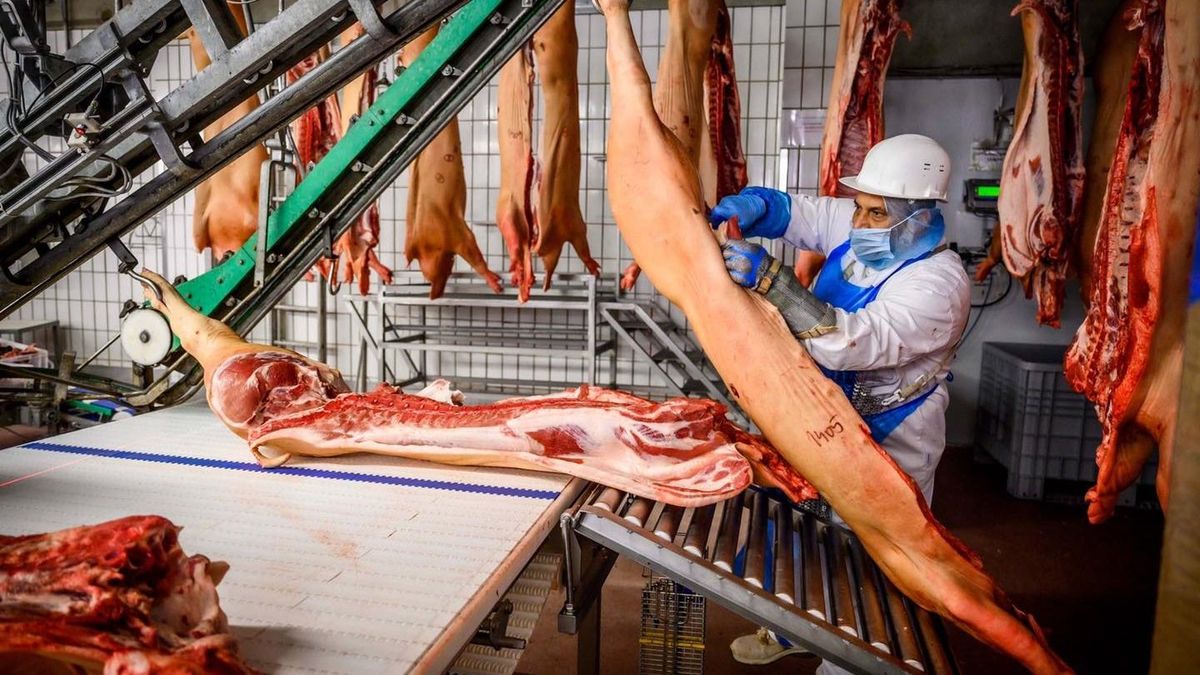 Jól halad a húsipari beruházás Kaposváron