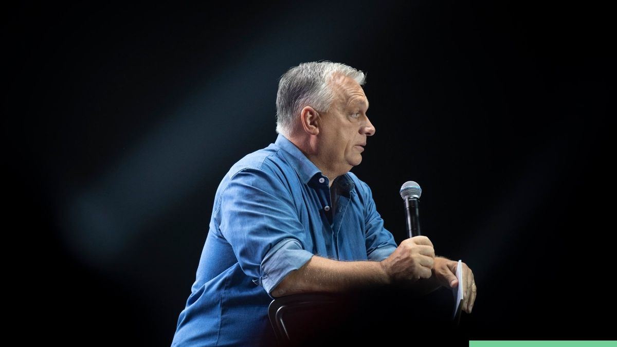 Bayer Zsolt: Na, hát erről van szó!