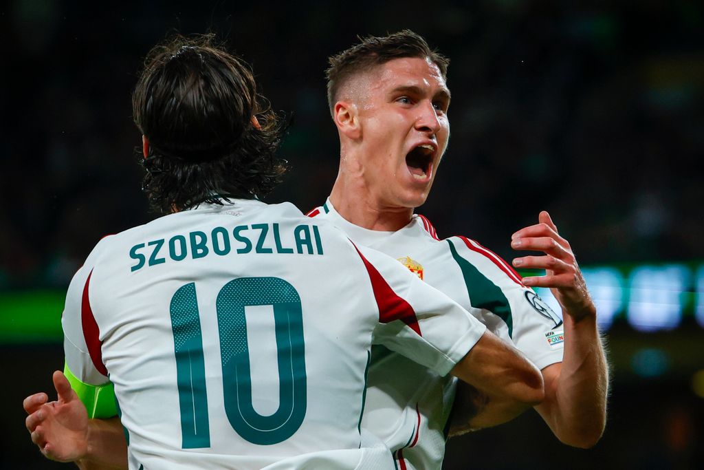 Írország-Magyarország VB selejtező