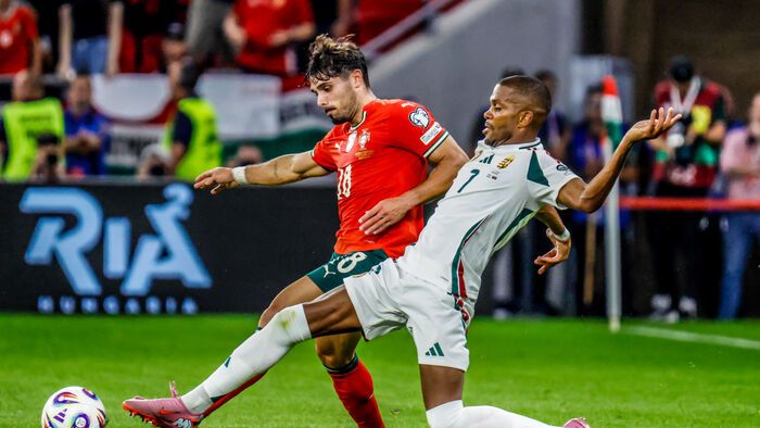 Magyarország - Portugália vb-selejtező 