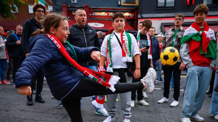 Írország-Magyarország VB selejtező