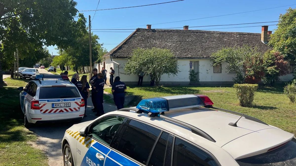 Ez lehetett a miskei gyermekgyilkosság egyik fő oka