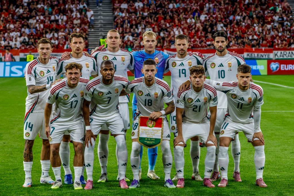 Magyarország - Portugália vb-selejtező 