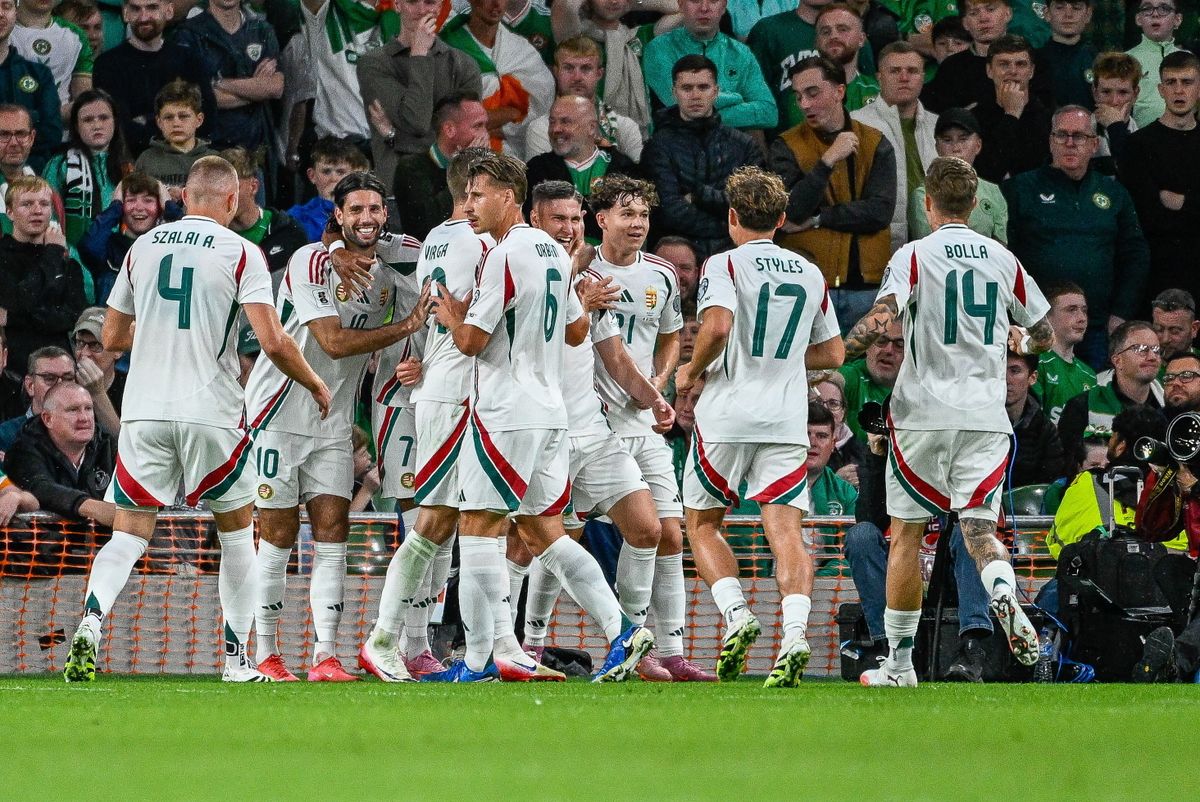 Írország–Magyarország vb-selejtező