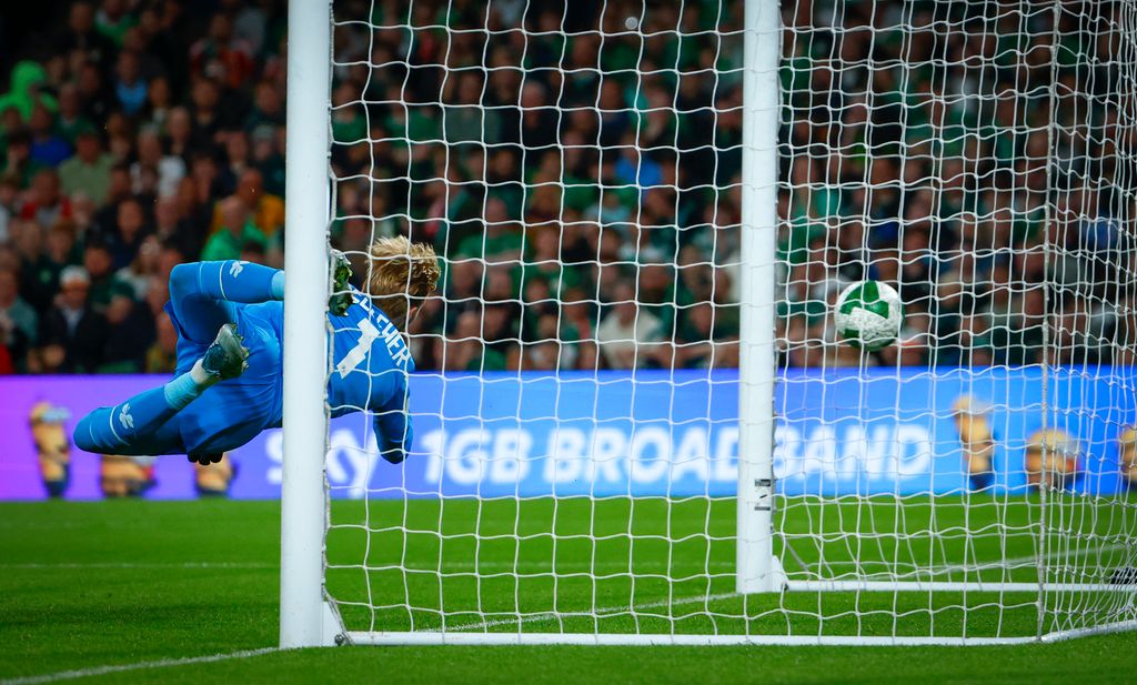 Írország-Magyarország VB selejtező