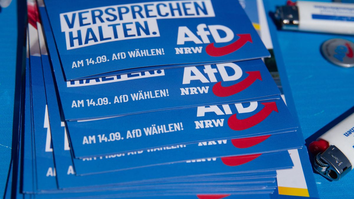 A liberálisok már az AfD kegyeit keresik