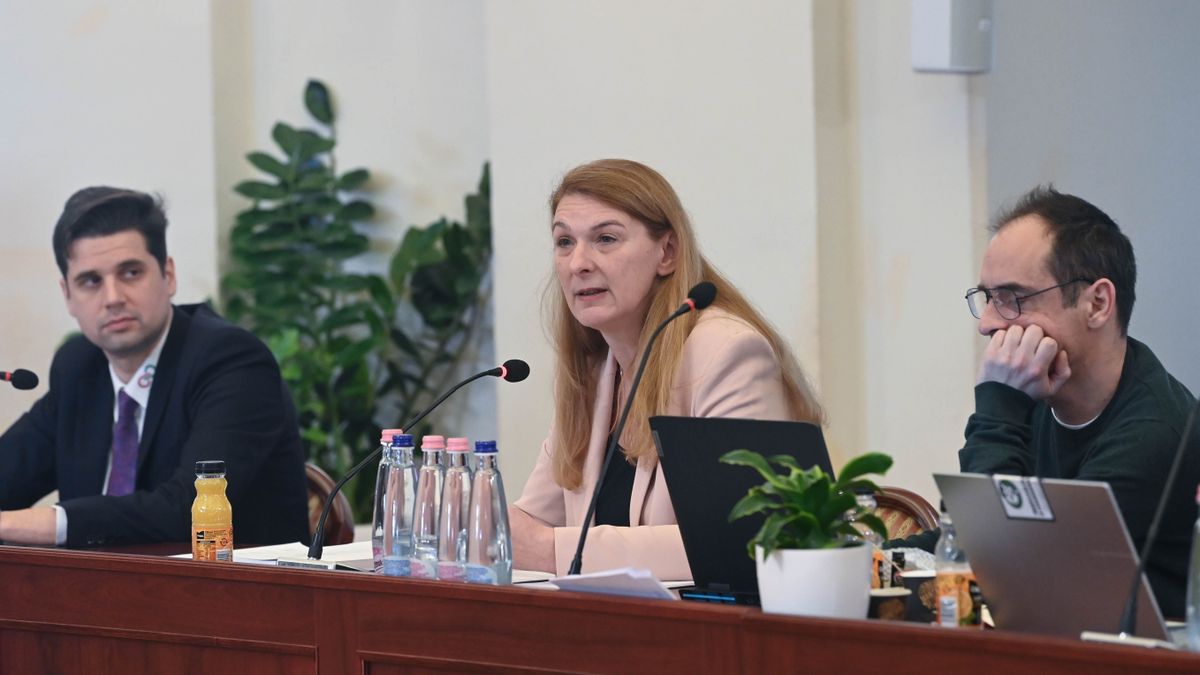 Baranyi Krisztina az elmúlt időszakban úgy váltogatta a baloldalon a pártjait, mint a véleményét egy adott témában